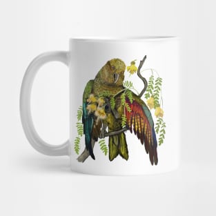 New Zeland Kea Bird Mug